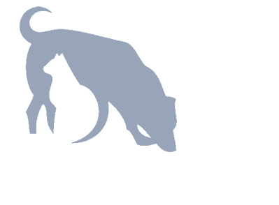 Animal Communicator Samantha Lodge